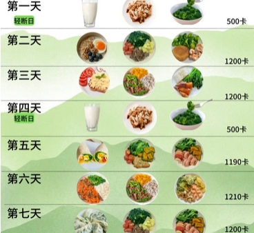 央视轻断食食谱完整版：科学控能，健康减重