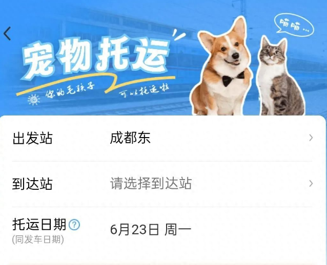 实用指南！带宠物猫狗坐高铁的办理流程来了