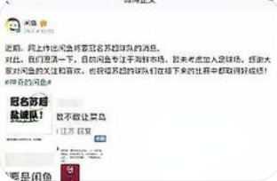 闲鱼否认冠名“苏超”球队：专注主业，拒绝跨界“跟风”